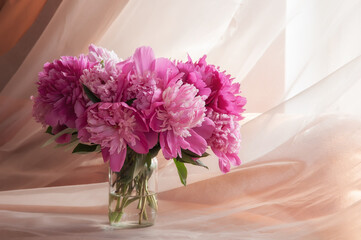 Bouquet of pink peonies in vase on a beige background