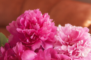 Bouquet of pink peonies in vase on a beige background