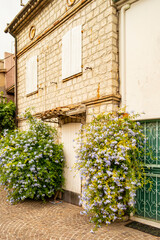 View on a street with typical houses of Sirolo, Riviera del Conero, Marche - Italy