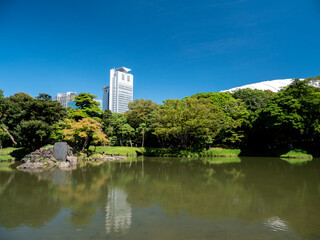 Fototapeta premium 秋の日本庭園の風景 9月