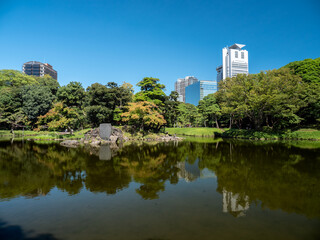 Fototapeta premium 秋の日本庭園の風景 9月