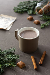 Obraz na płótnie Canvas Winter cocoa drink in a mug among green spruce branches, cinnamon and delicious Toffee candies