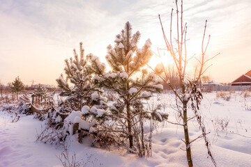 Calm Rustic winter landscape countryside at sunset