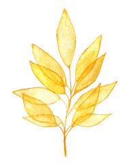 Fototapeta na wymiar Airy yellow leaves on the twig watercolor clipart