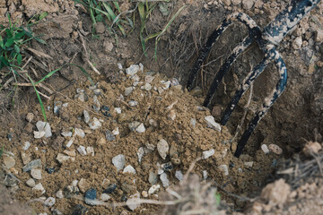 Crushed stone is poured into the hole as drainage for planting a plant
