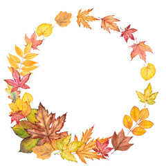 Naklejka na ściany i meble Autumn wreath with colorful leaves. Watercolor illustration isolated on white.