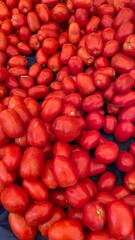 tomato red background