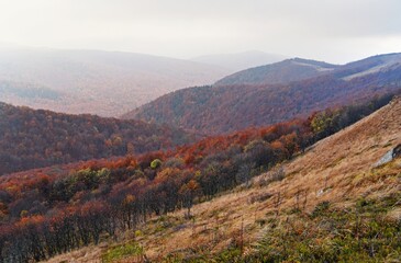 Bukowe Berdo, autumn weather in Bieszczady, Bieszczady mountains