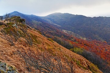 Fototapeta na wymiar Bukowe Berdo, autumn weather in Bieszczady, Bieszczady mountains