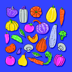 Hand drawn vector collectiton of vegetables. Pumpkin, tomato, pepper, carrot, cucumber etc.