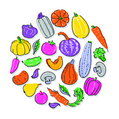 Hand drawn vector collectiton of vegetables. Pumpkin, tomato, pepper, carrot, cucumber etc.