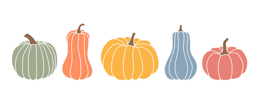 Set of pumpkins, autumn colors, different types of pumpkins
