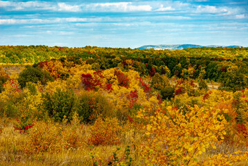 Fototapeta premium Golden autumn in the National Park! 