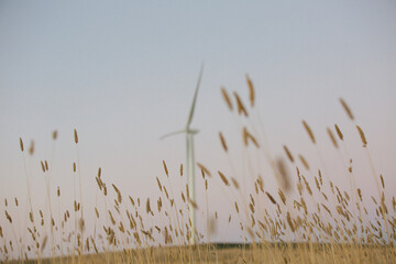 Green energy wind turbine in the countryside at dusk
