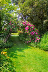 Idyllic rose garden