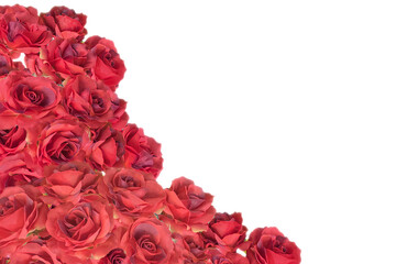 真っ赤な薔薇の花束の切り抜き ローズ バラの花 真紅のばらのデコレーション背景画像 カード タイトルスペース Background Wall Mural Backgrou Monstrose