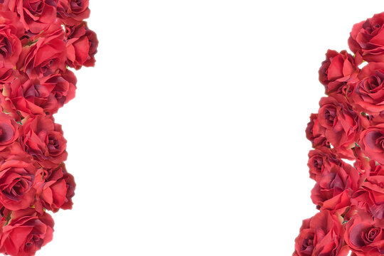 真っ赤な薔薇、ローズ、バラの花/真紅のばらのデコレーション背景画像/カード、タイトルスペース