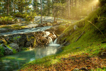 waterfall in the forest