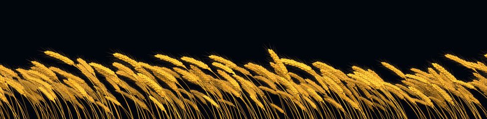 farm harvest, gold wheat line isolated - design nature 3D rendering