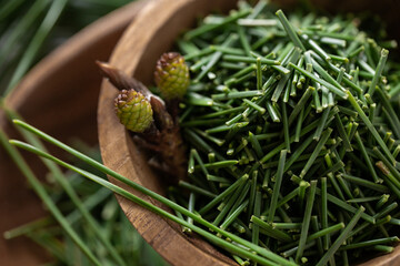 松葉茶　松のお茶