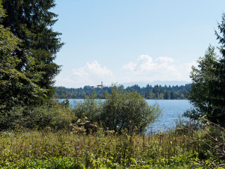 Kirchsee moor lake in mystical environment of nature reserve of Ellbach and Kirchseemoor, colorful warm water, blue and amber in Upper Bavaria in Germany