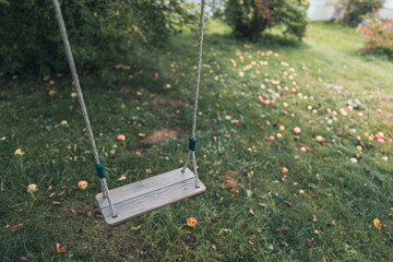 the swing in the apple tree