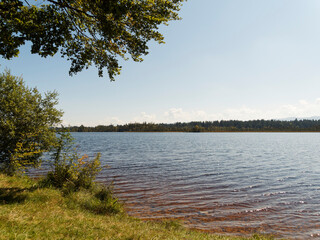 Kirchsee, moor lake amber colored and popular warm bathing water in a natural and mystical environment Ellbach and Kirchseemoor