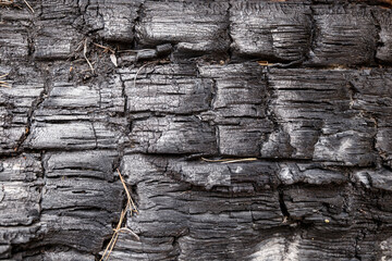 The texture of burnt wood. Close-up. Abstract background. Wooden coals