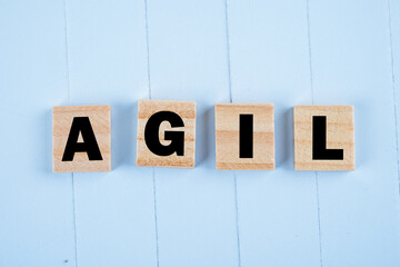 Das Schlagwort AGIL für agiles Projektmanagement im SCRUM Umfeld