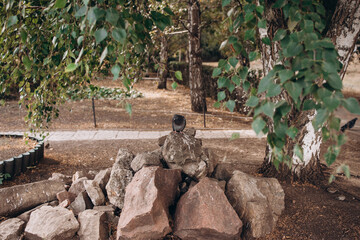 man sitting on a bench in the park