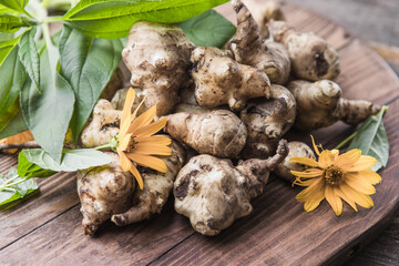 Jerusalem artichoke tubers. Freshly harvested roots of Helianthus tuberosus, also known as sunroot, sunchoke, earth apple, topinambur or lambchoke. Used as a root vegetable.