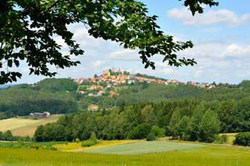 Blick zur Burgruine Leuchtenberg in Bayern