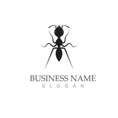 Ant vector illustration design