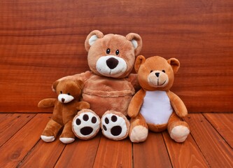 Three teddy bears.  Family 
