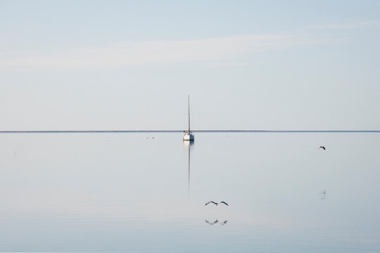 Birds flying low over the bay towards boat, and flat horizon
