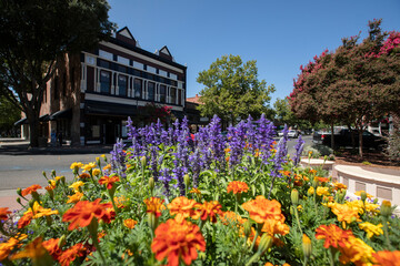 Flower framed view of the historic downtown district of Vacaville, California, USA. - obrazy, fototapety, plakaty