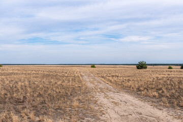 Fototapeta na wymiar Lieberoser Wüste, die größte Wüste in Deutschland, im Land Brandenburg, nähe vom Spreewald und Cottbus