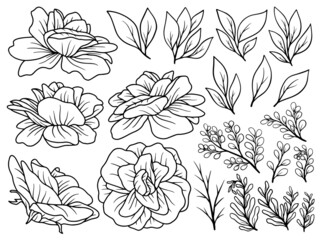 Hand drawn flower sketch line art illustration set.