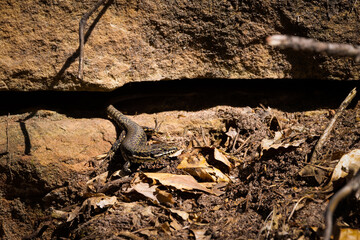 always be very carefully, look to the left and then to the right, always jumping back into the safe cave.