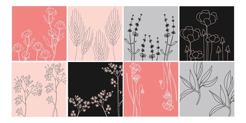 Floral minimal banners set. Hand drawn line wild flower and leaves, herbal and meadow plant, modern floral square template for social media posts. Vector botanical illustration pink black gray colors