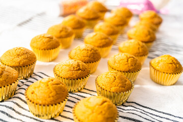 Pumpkin spice cupcake