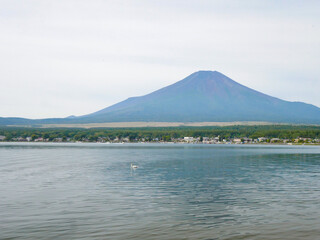 富士山3　山中湖