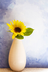 Single sunflower in a white vase against a blue painted background; Simple design of a yellow flower on a table