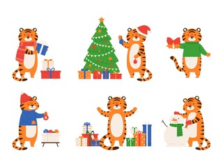 Set of cute Christmas tigers isolated on a white background. The symbol of the new year 2022. Vector illustration in flat style