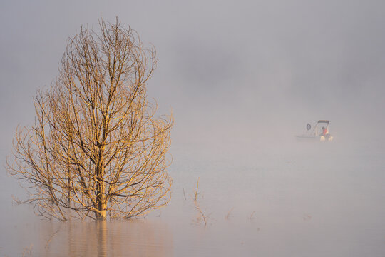 A dead tree deep in water near a fisherman on a small boat in the middle of a foggy, misty lake