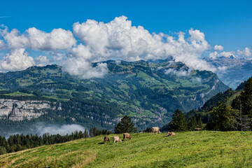 View in the Swiss Alps