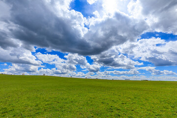 Obraz premium Green grassland natural scenery in Xinjiang,China.Wide grassland and blue sky with white clouds landscape.