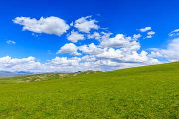 Green grassland natural scenery in Xinjiang,China.Wide grassland and blue sky with white clouds...