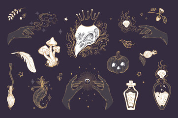 Vector vintage set illustration magic items, for Halloween. Raven skull in crown, Pumpkin, mushrooms, witch potions, feather, witchcraft, astrology, mystic. For stickers, posters, design elements. - obrazy, fototapety, plakaty