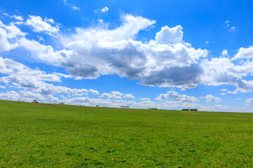 Green grassland natural scenery in Xinjiang,China.Wide grassland and blue sky with white clouds landscape.